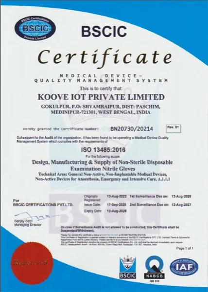 ISO 13485 certificate